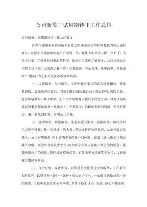 公司新员工试用期转正工作总结.docx