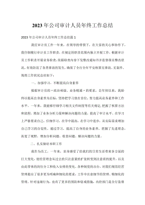 2023年公司审计人员年终工作总结.docx