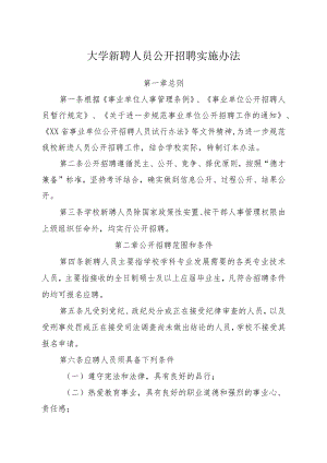 大学新聘人员公开招聘实施办法.docx