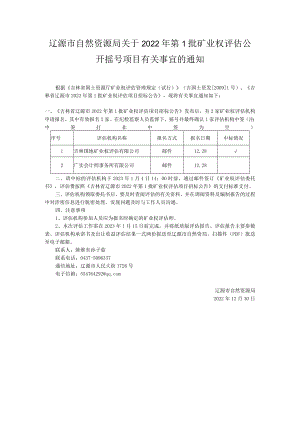 辽源市自然资源局关于2022年第1批矿业权评估公开摇号项目.docx