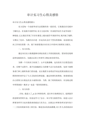 审计实习生心得及感悟.docx