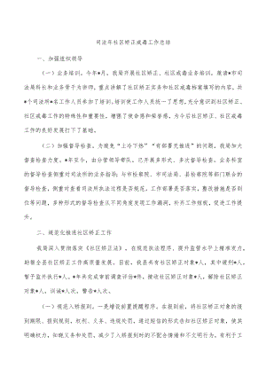 司法年社区矫正戒毒工作总结.docx