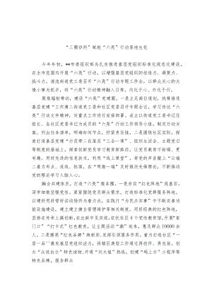 基层党组织标准化规范化建设经验交流材料.docx