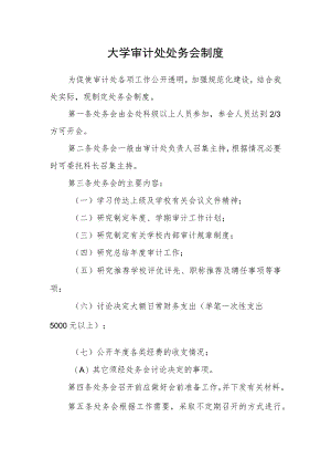 大学审计处处务会制度.docx