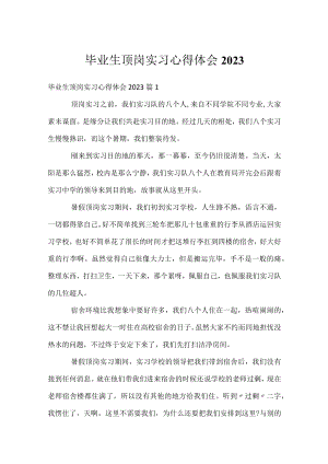 毕业生顶岗实习心得体会2023.docx