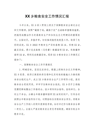 XX乡粮食安全工作情况汇报.docx