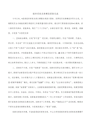 组织系统支部建设经验交流.docx