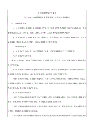 项目资金绩效评价报告.docx