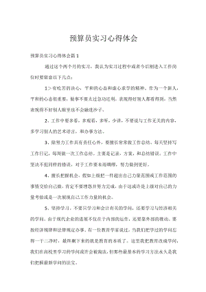 预算员实习心得体会.docx