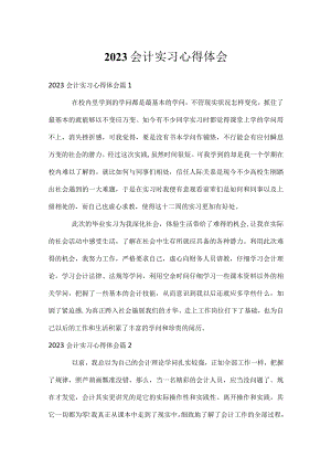2023会计实习心得体会.docx