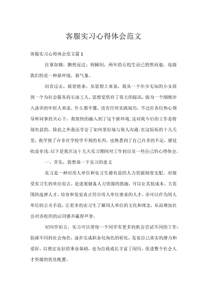客服实习心得体会范文.docx