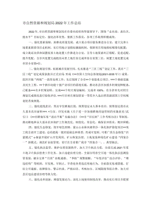市自然资源和规划局2022年工作总结.docx