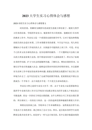 2023大学生实习心得体会与感想.docx