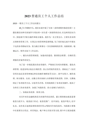 2023普通员工个人工作总结.docx