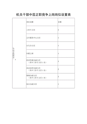 机关干部中层正职竞争上岗岗位设置表.docx
