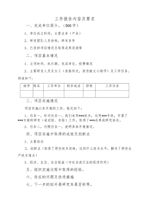 工作报告内容及要求.docx