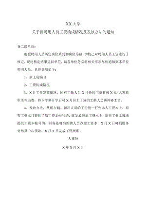 XX大学关于新聘用人员工资构成情况及发放办法的通知.docx