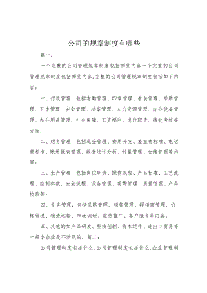 公司的规章制度有哪些.docx