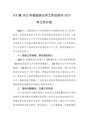 XX镇2022年度政务公开工作总结与2023年工作计划.docx