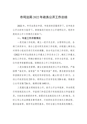 市司法局2022年政务公开工作总结（20221215）.docx