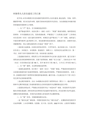 村级带头人队伍建设工作汇报.docx
