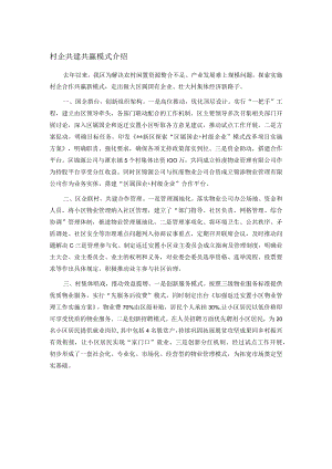 村企共建共赢模式介绍.docx