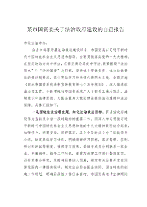 某市国资委关于法治政府建设的自查报告.docx