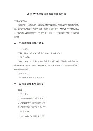 小学2023年寒假德育实践活动方案.docx