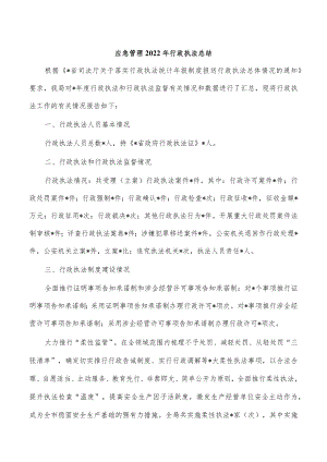 应急管理2022年行政执法总结.docx