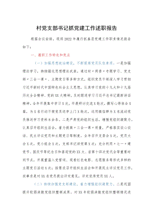 村党支部书记抓党建工作述职报告.docx