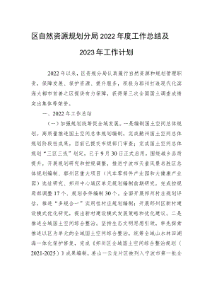 区自然资源规划分局2022年度工作总结及2023年工作计划.docx