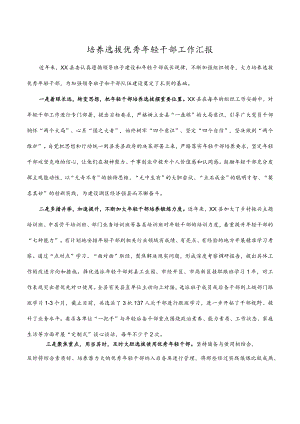 培养选拔优秀年轻干部工作汇报.docx