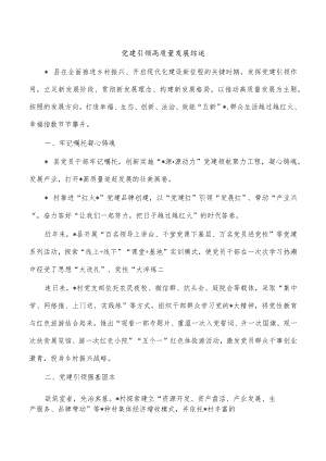 党建引领高质量发展综述.docx