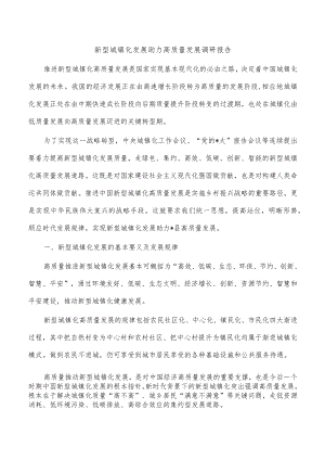 新型城镇化发展助力高质量发展调研报告.docx
