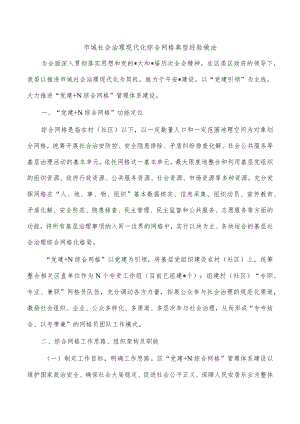 市域社会治理现代化综合网格典型经验做法.docx