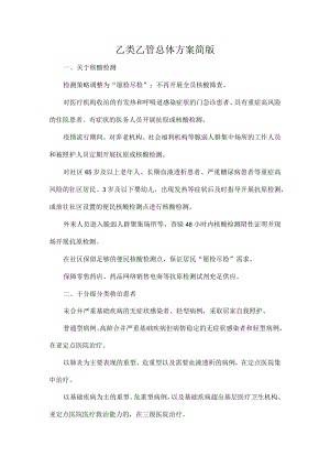 乙类乙管总体方案简版.docx