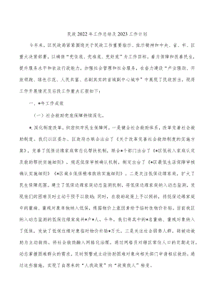 民政2022年工作总结及2023工作计划.docx