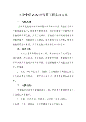 实验中学2022年青蓝工程实施方案.docx