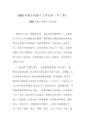 2022年镇乡村振兴工作总结(共二篇).docx