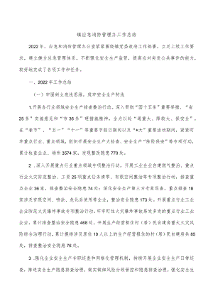 镇应急消防管理办工作总结.docx