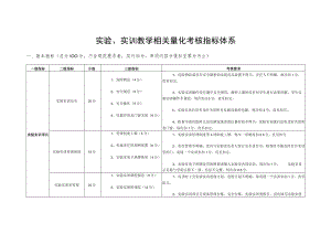 实验、实训教学相关量化考核指标体系.docx