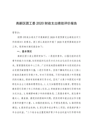 高新区团工委2020财政支出绩效评价报告.docx