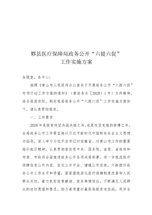 黟县医疗保障局政务公开“六提六促”工作实施方案.docx