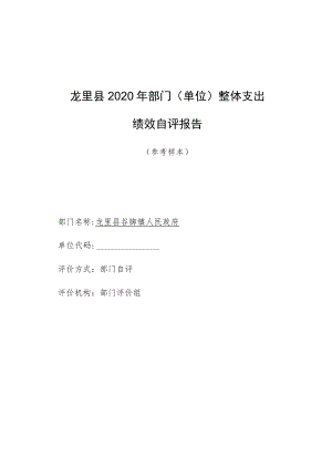 龙里县2020年部门单位整体支出绩效自评报告.docx