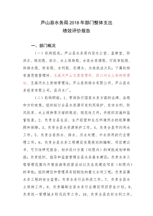 芦山县水务局2018年部门整体支出绩效评价报告.docx
