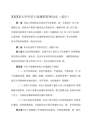 XXXX大学中层干部兼职管理办法试行.docx