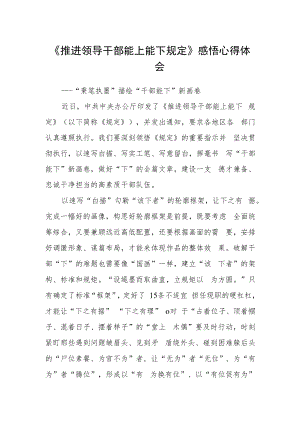 《推进领导干部能上能下规定》感悟心得体会.docx