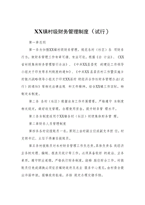 XX镇村级财务管理制度（试行）.docx