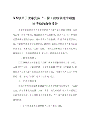 XX镇关于兜牢兜实“三保”底线领域专项整治行动的自查报告.docx