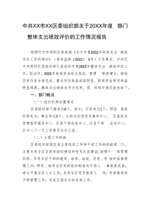 中共XX市XX区委组织部关于20XX年度部门整体支出绩效评价的工作情况报告（20220615）.docx
